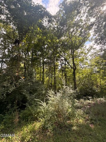 5704 Rockhaven Road, Knoxville, TN 37920