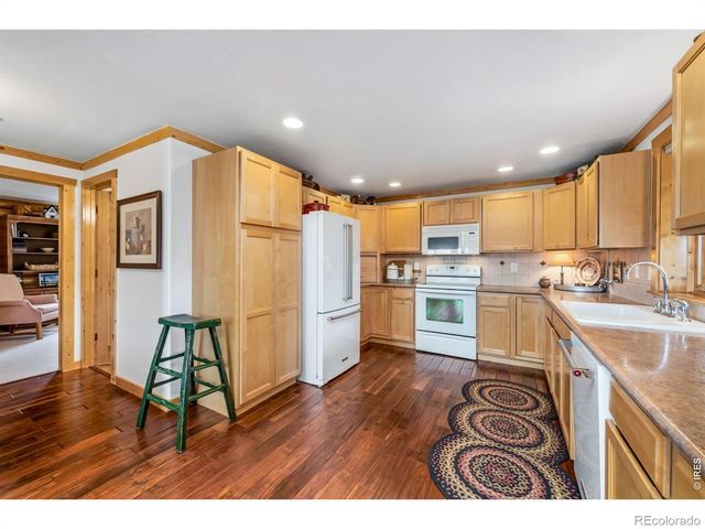 171 Critter Court, Livermore, CO 80536
