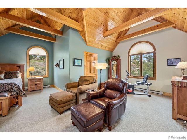 171 Critter Court, Livermore, CO 80536