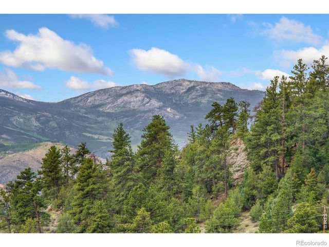171 Critter Court, Livermore, CO 80536