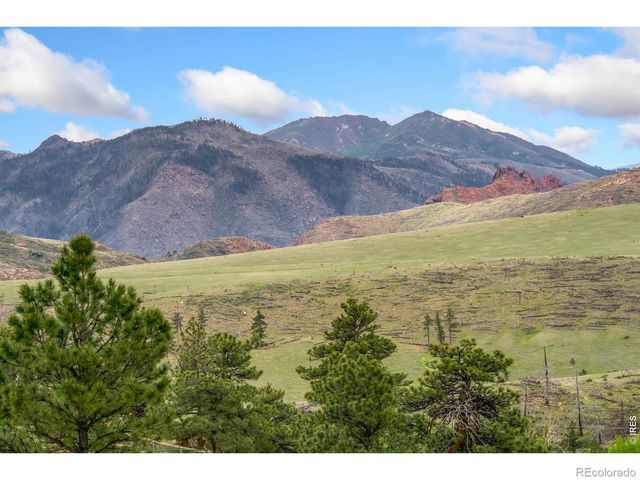 171 Critter Court, Livermore, CO 80536