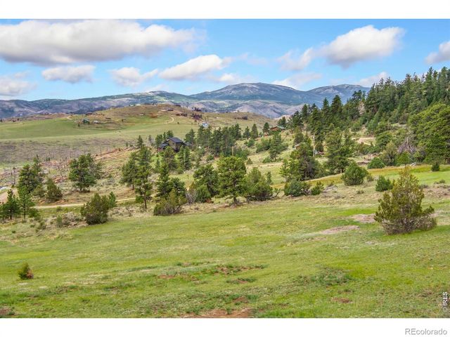171 Critter Court, Livermore, CO 80536