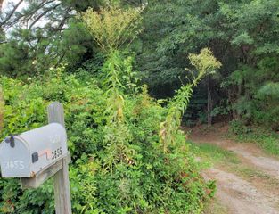 3655 Roosevelt Highway, South Fulton, GA 30349