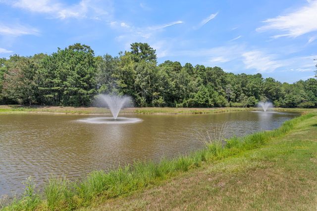 534 Sea Foam Street, Summerville, SC 29486