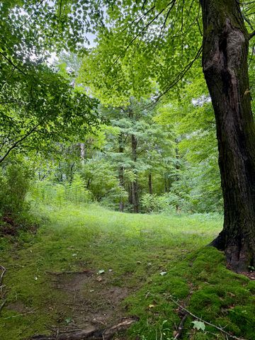 193 VT Route 15 W, Johnson, VT 05656