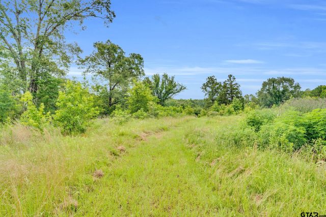 22626 County Road 4171, Mineola, TX 75773