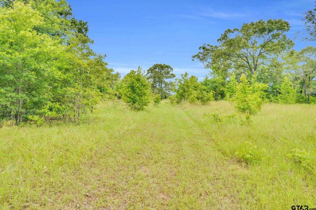 22626 County Road 4171, Mineola, TX 75773
