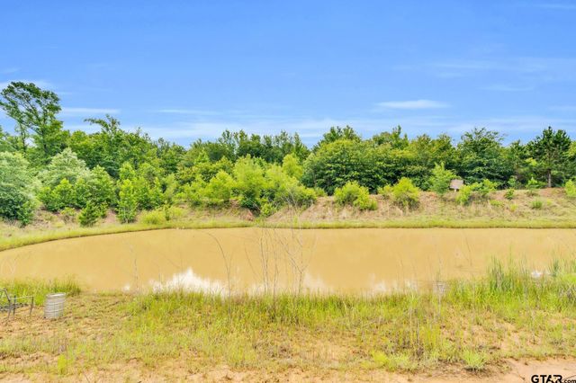 22626 County Road 4171, Mineola, TX 75773