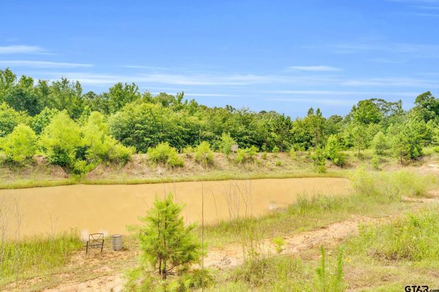 22626 County Road 4171, Mineola, TX 75773