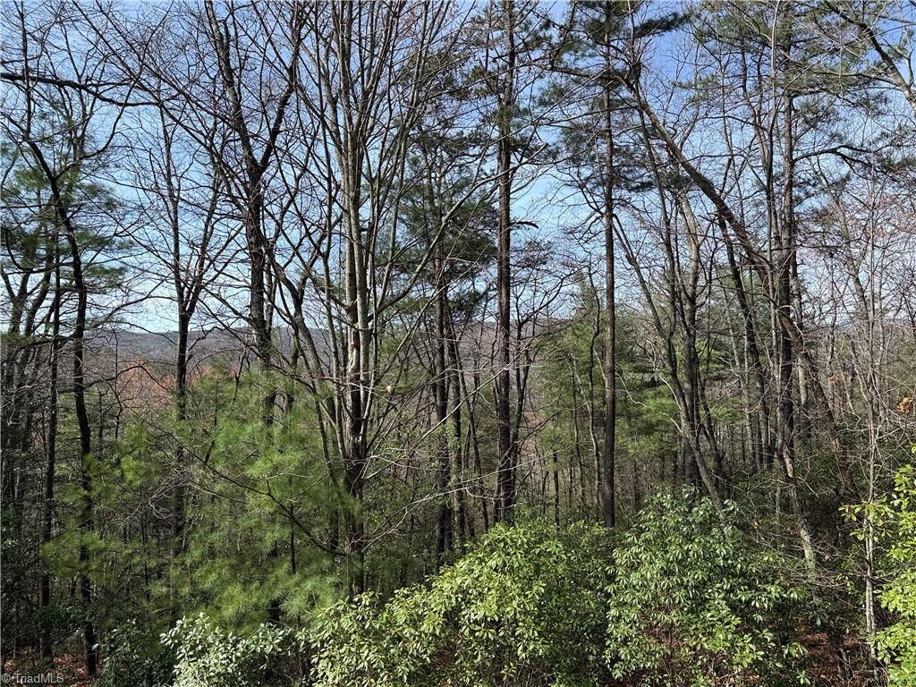 Lot 213 Casey Mountain Road, Purlear, NC 28665