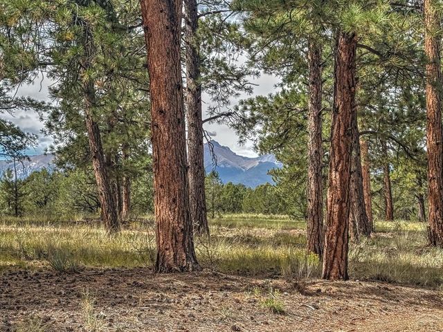 111 Sioux Trail, Westcliffe, CO 81252