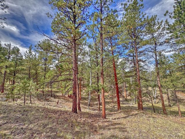 111 Sioux Trail, Westcliffe, CO 81252