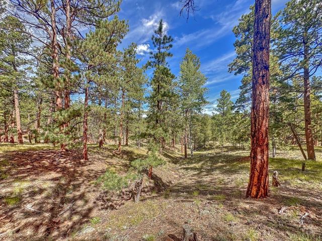 111 Sioux Trail, Westcliffe, CO 81252