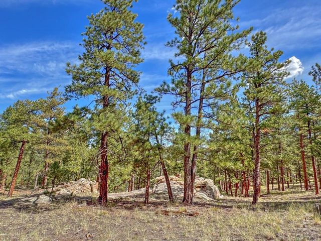 111 Sioux Trail, Westcliffe, CO 81252