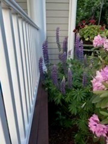 62 South Street A, Plymouth, MA 02360