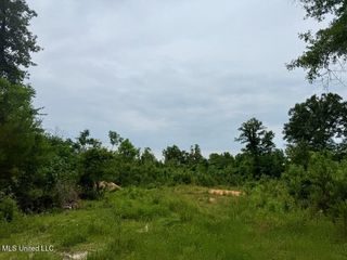 6844 Lot 2 Hwy 43 N, Poplarville, MS 39470