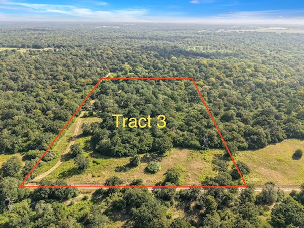 8692 Treebrook Lane, Bryan, TX 77808 — photo 4