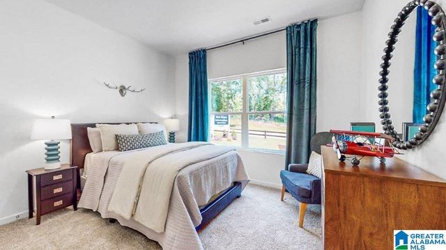 606 FISH CAMP ROAD, Chelsea, AL 35043