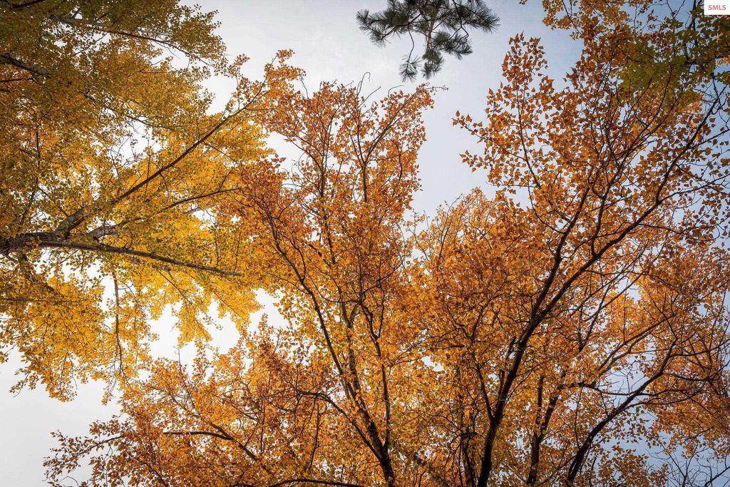 802 Sandpoint Ave #8201 & 8202, Sandpoint, ID 83864 photo 72