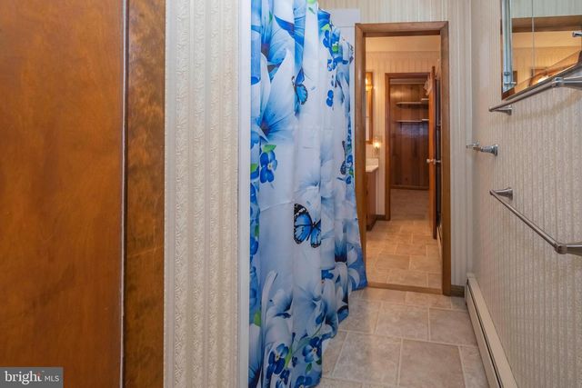315 COOLIDGE AVENUE, Oakland, MD 21550