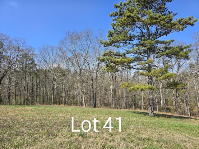 53035307 Bear Creek Road, Birchwood, TN 37308
