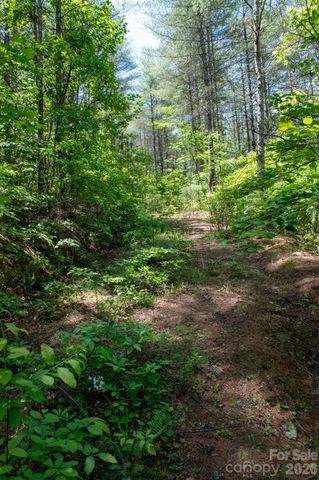 000 Narrow Gauge Drive 18, Lenoir, NC 28645