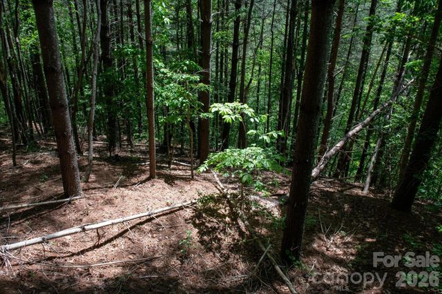 000 Narrow Gauge Drive 18, Lenoir, NC 28645