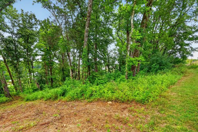 8514 Blanton Ct, College Grove, TN 37046