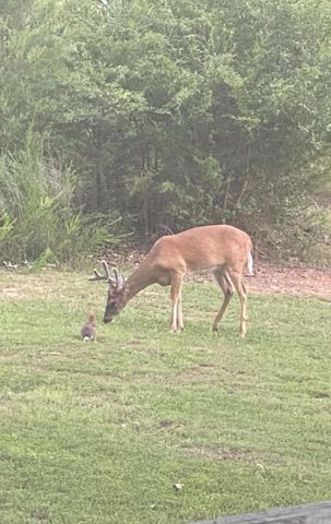 199 Pine Hill Estates Rd., Higden, AR 72067