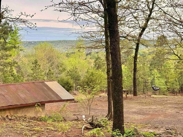 199 Pine Hill Estates Rd., Higden, AR 72067