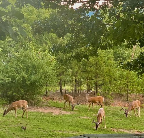 199 Pine Hill Estates Rd., Higden, AR 72067