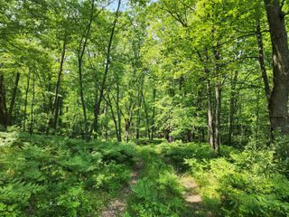 25 +/- Acres Mostetler Road, Harrison, MI 48625
