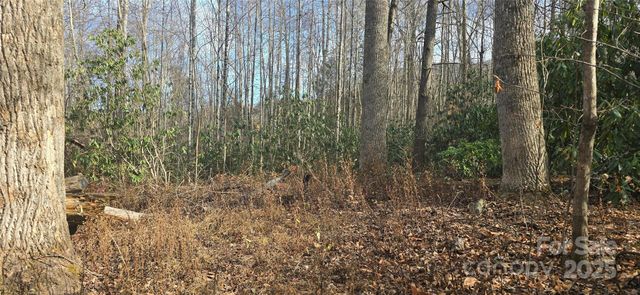 Lot 20 Twinbrook Lane, Maggie Valley, NC 28751