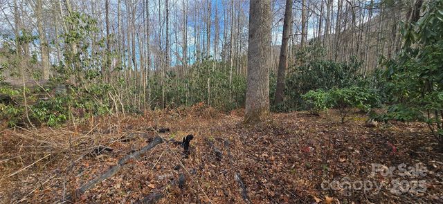 Lot 20 Twinbrook Lane, Maggie Valley, NC 28751
