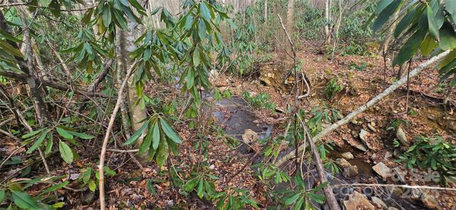 Lot 20 Twinbrook Lane, Maggie Valley, NC 28751