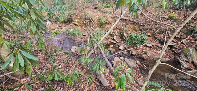 Lot 20 Twinbrook Lane, Maggie Valley, NC 28751