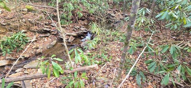 Lot 20 Twinbrook Lane, Maggie Valley, NC 28751
