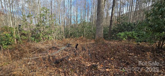 Lot 20 Twinbrook Lane, Maggie Valley, NC 28751