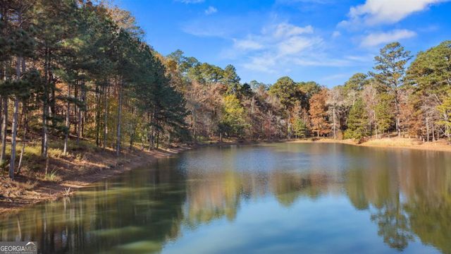 1800 Osprey Poynte, Greensboro, GA 30642