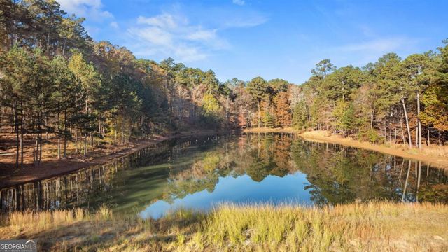 1800 Osprey Poynte, Greensboro, GA 30642