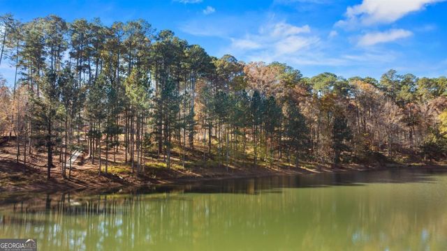 1800 Osprey Poynte, Greensboro, GA 30642