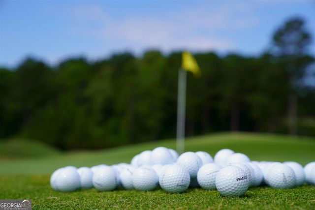 1800 Osprey Poynte, Greensboro, GA 30642