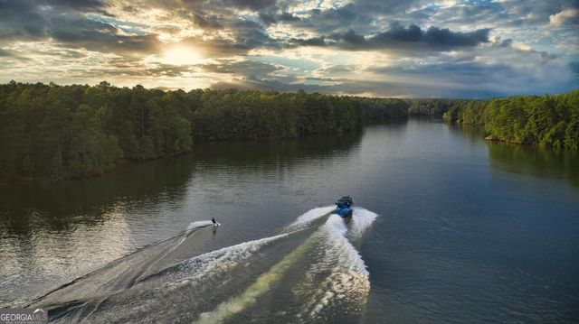 1800 Osprey Poynte, Greensboro, GA 30642