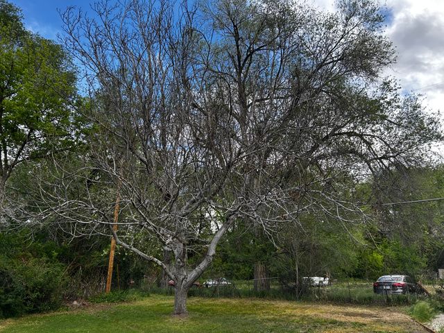 1187 E RIDGEDALE CIR, Millcreek, UT 84106