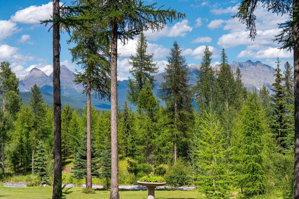 14550 Tepee Lake Road, Polebridge, MT 59928 photo 49