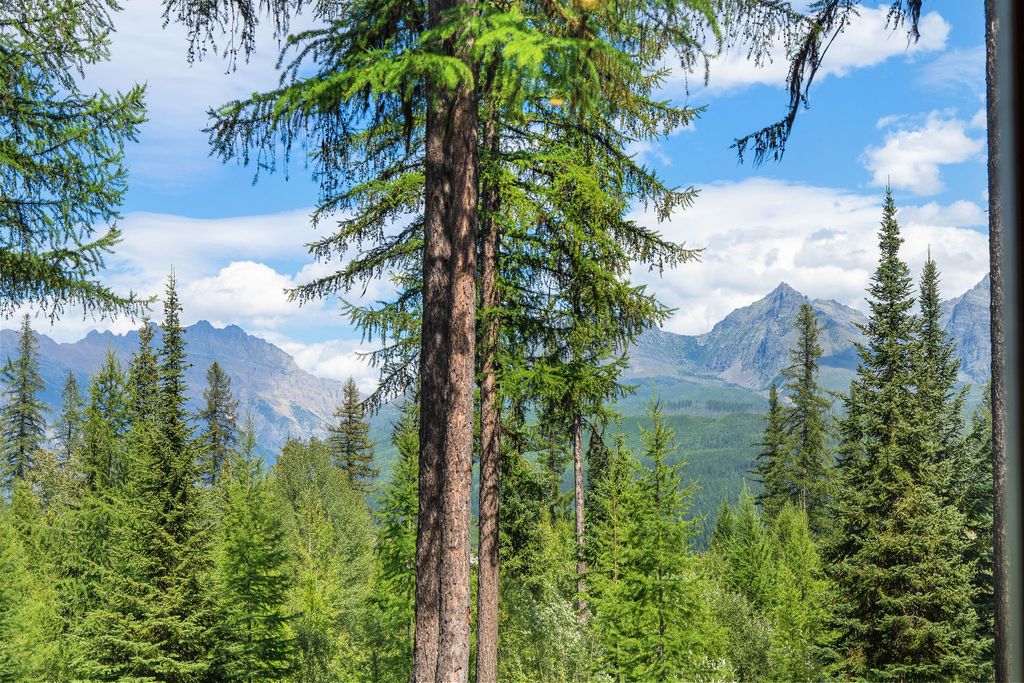 14550 Tepee Lake Road, Polebridge, MT 59928 photo 50