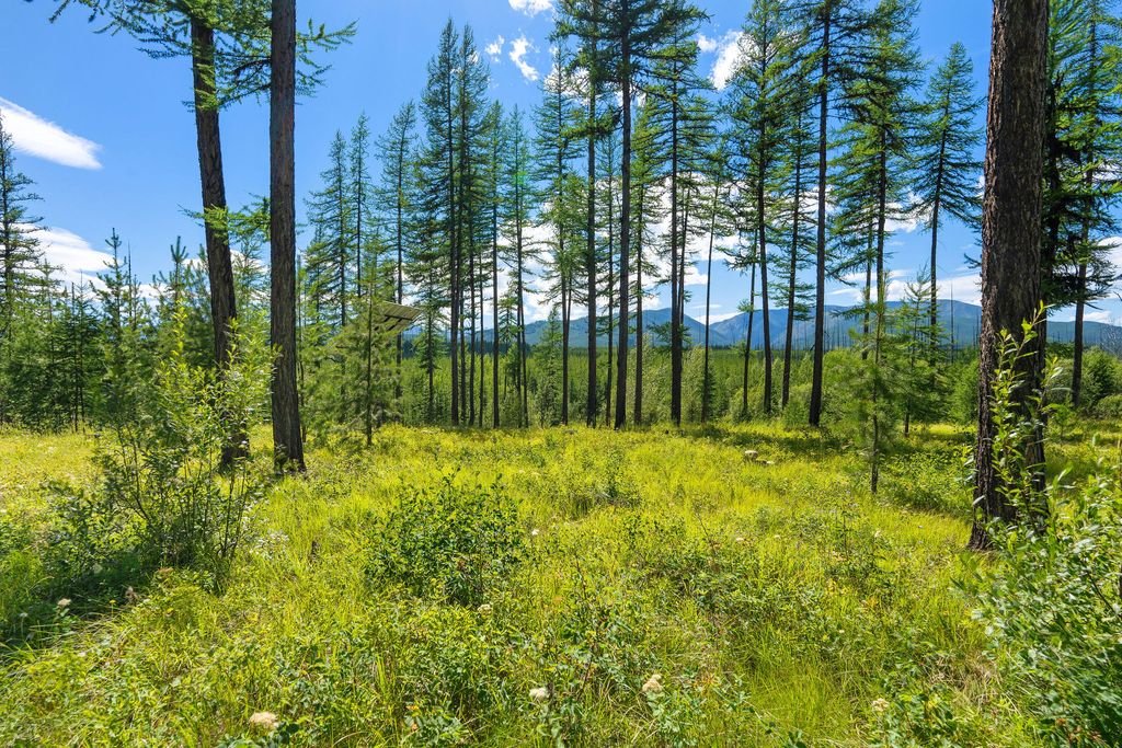 14550 Tepee Lake Road, Polebridge, MT 59928 photo 63