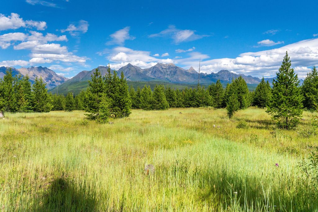 14550 Tepee Lake Road, Polebridge, MT 59928 photo 67