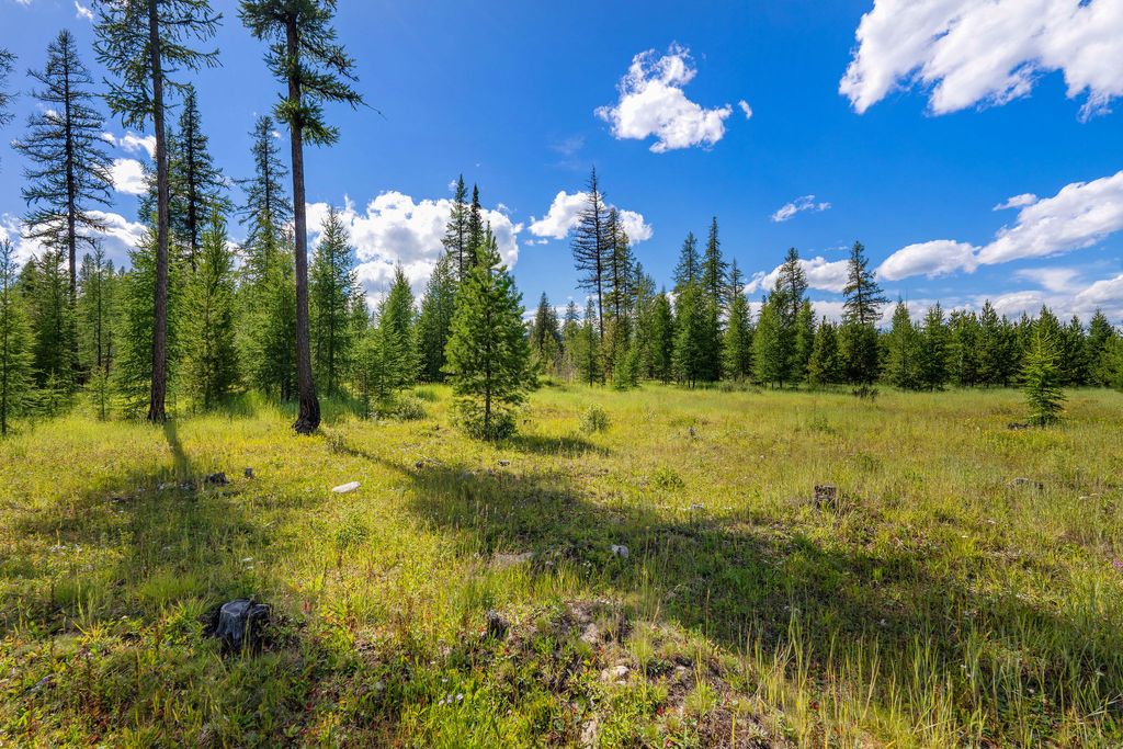 14550 Tepee Lake Road, Polebridge, MT 59928 photo 68