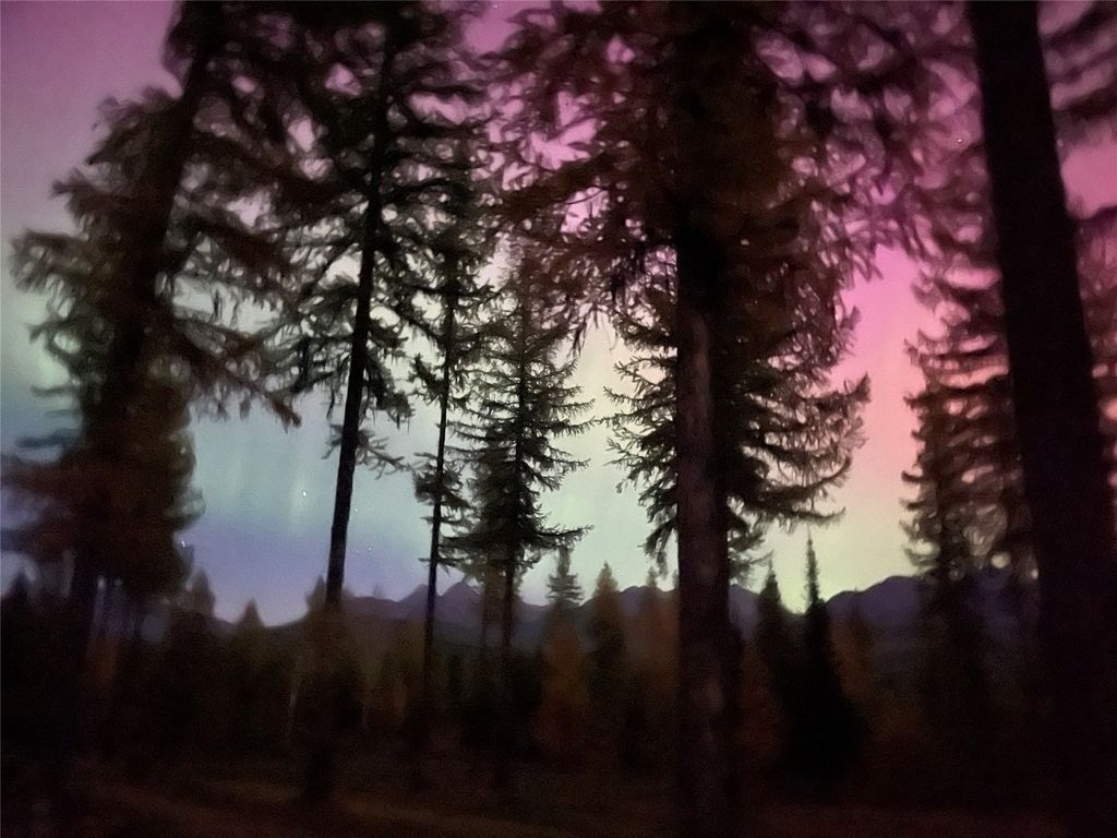 14550 Tepee Lake Road, Polebridge, MT 59928 photo 74